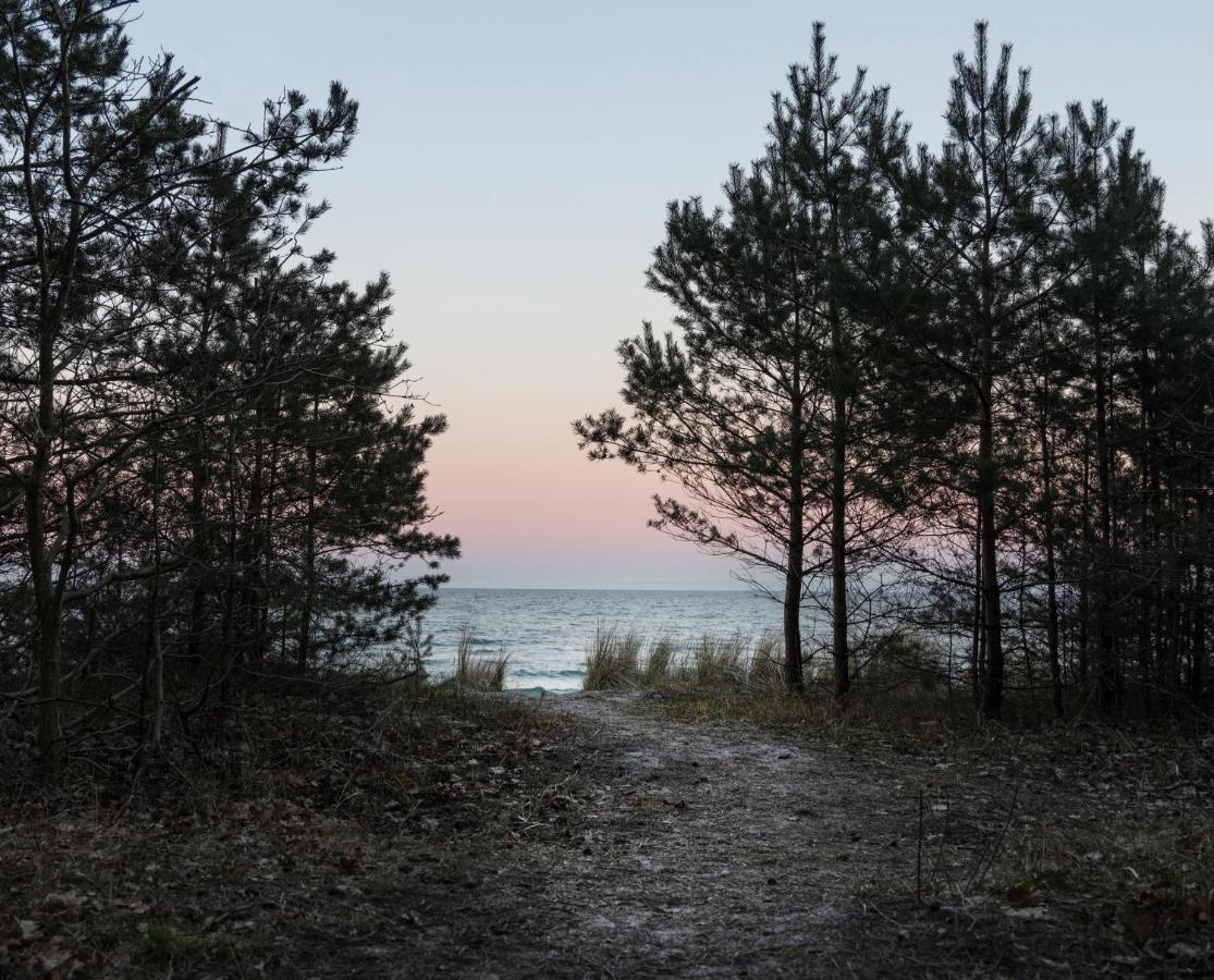 Safari Lodge Prora - Mit Sauna Und Direktem Strandzugang ビンツ エクステリア 写真
